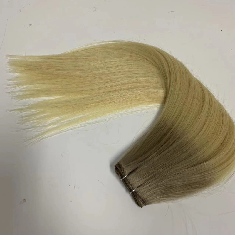 China Human hair invisible genius weft hair extensions manufacturer HJ 001